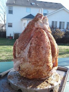 Seasoned Turkey.jpg