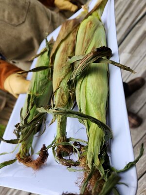 Grilled corn in husk.jpg