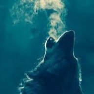 wolfpack smoker