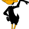 daffyduck