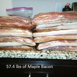 572lbs of maple bacon.jpg