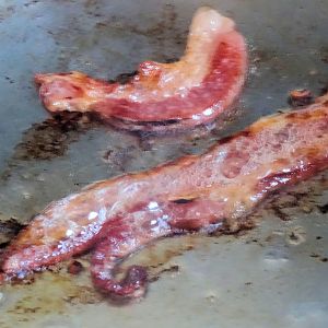 Side Bacon 22.jpg