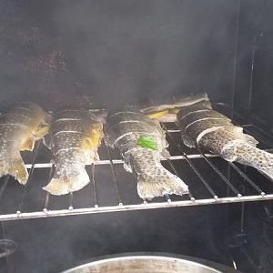 Smoked Trout 4.jpg