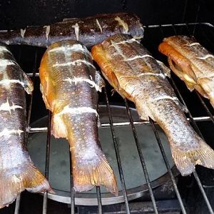 Smoked Trout 5.jpg