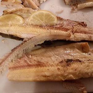 Smoked Trout 9.jpg