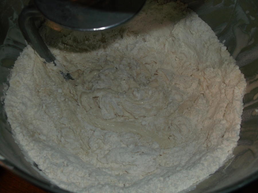 Adding the Flour VWG Yeast.JPG