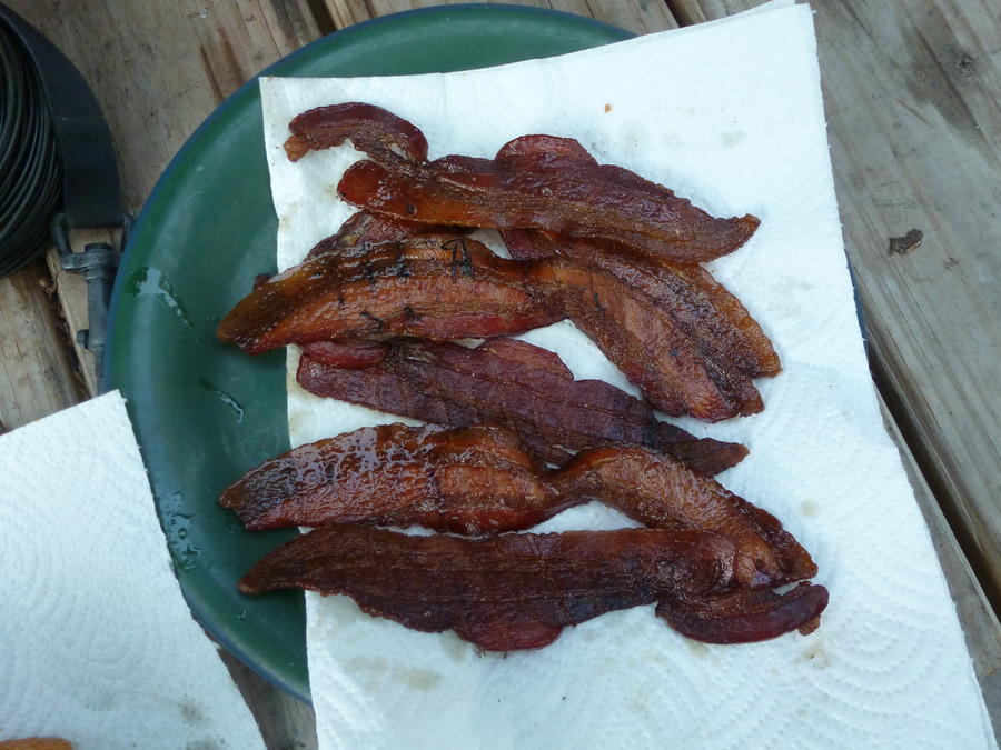 bacon 6.jpg