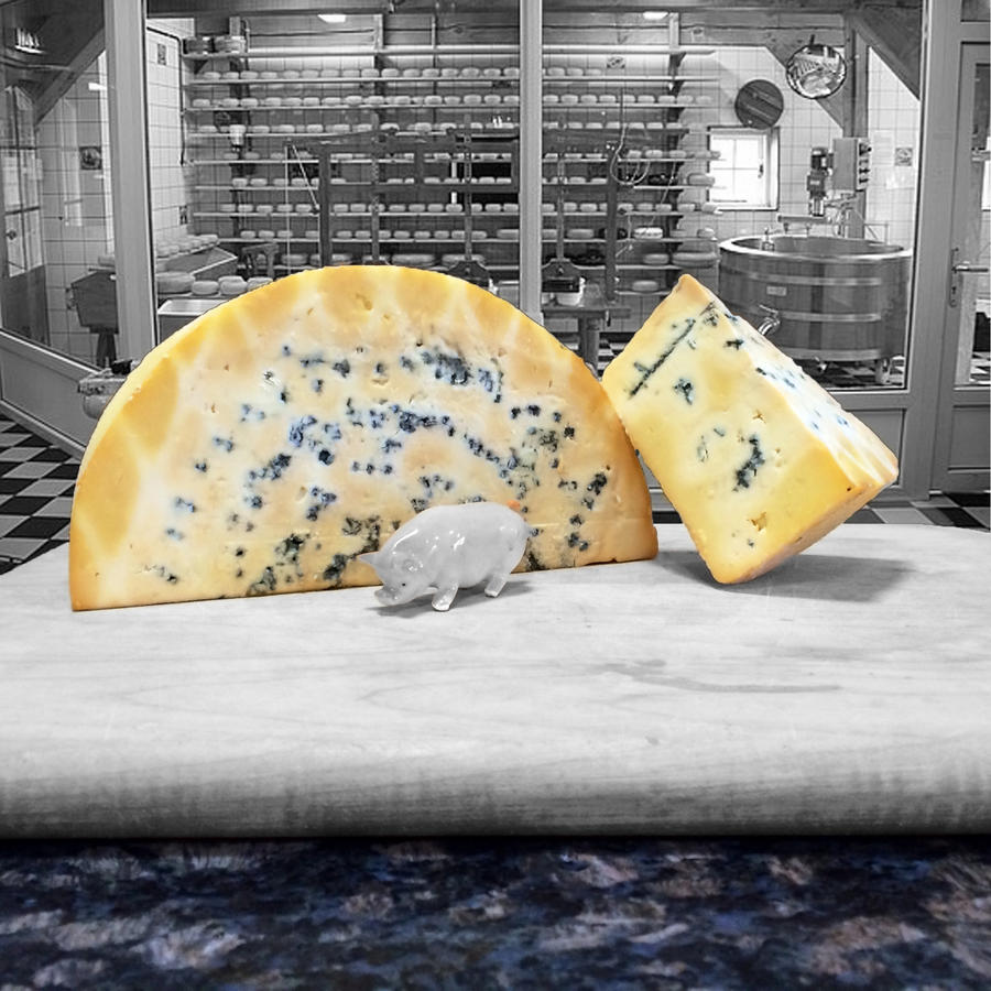 Blue Cheese w-background.jpg