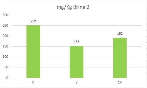 Brine 2 mg_kg.JPG