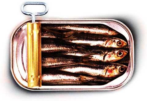 Canned-sardines.jpg