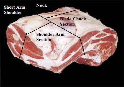 chuck square cut with arm bone in.jpg