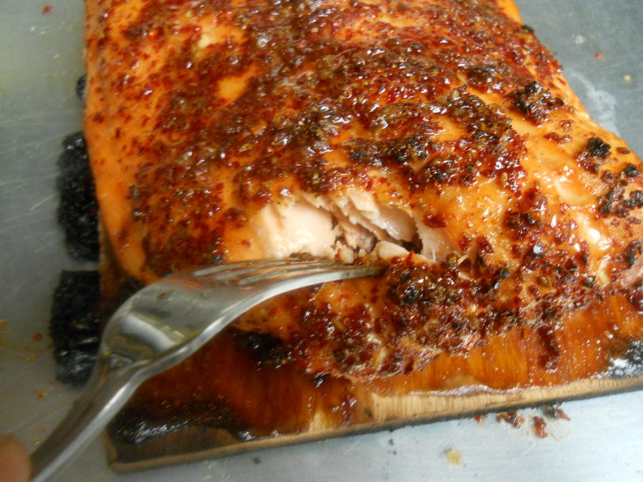 cooked salmon after 15 minutes (3).JPG