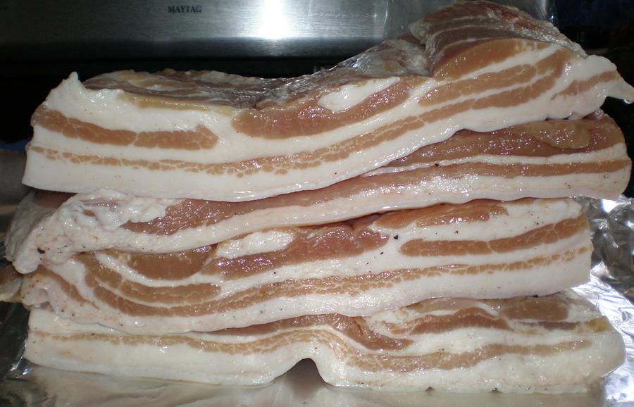 july 2012 bacon 010.JPG