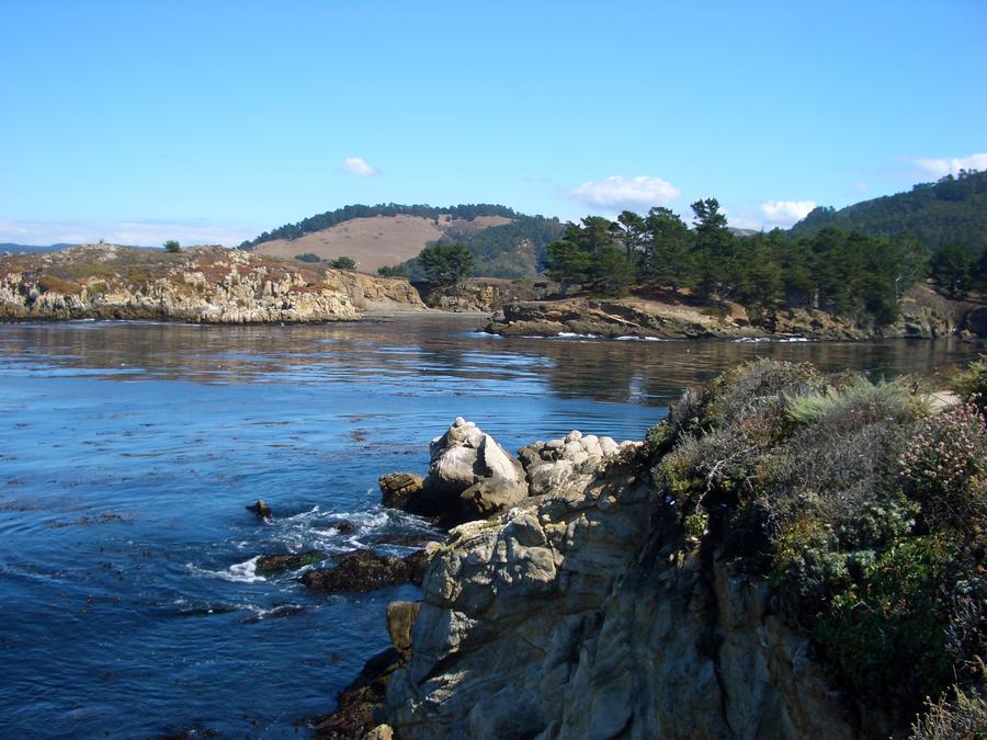 Sept Point Lobos 017.jpg