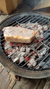 searing a frozen steak, then onto oven?