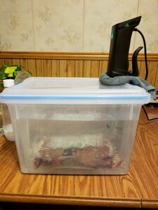 L-Link Sous Vide Container 12 Quart with Lid & Rack and Sleeve