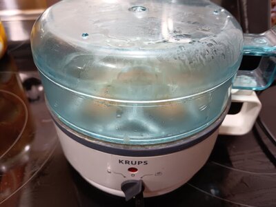 Krups Egg Cooker - Which side is boil? 