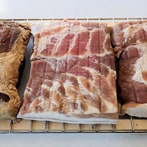 Bacons 14.jpg