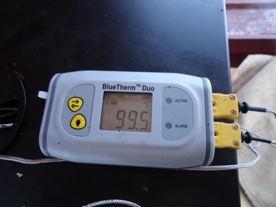 BlueTherm Temperature Probe by Thermoworks