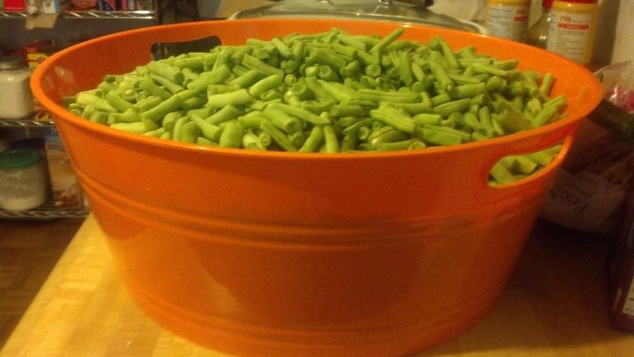 green beans 7-13 2.JPG